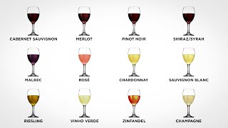 Every Wine Explained in 10 minutes Part 1 [upl. by Annairba]