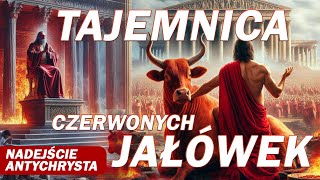 Co zwiastują Czerwone Jałówki Tajemnica Czerwonych Jałówek i nadejścia Antychrysta [upl. by Jonina]