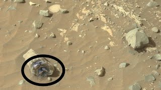 Perseverance Rover Captured a New Video Footage of Mars  New Mars Video [upl. by Onailerua]