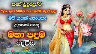 නෙළුම් මලක් ඇසුරේ උපන් මහා රූමතිය මහා පදුම දේවිය  Maha Paduma Devi [upl. by Sinnod711]