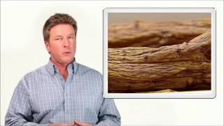 Korean Red Ginseng Benefits What Does Ginseng Do for Men [upl. by Ponce217]