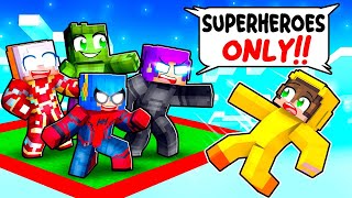 LOCKED on ONE CHUNK But We’re SUPERHEROES in Minecraft [upl. by Aihsened]