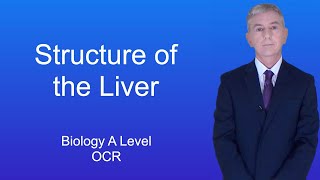 A Level Biology Revision Year 13 quotStructure of the Liverquot [upl. by Eugene]