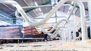 DeLaval Cow Mover C  DeLaval Automated Milking Solutions  DeLaval [upl. by Onaicram]