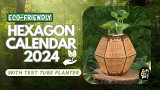 Eco Friendly Calendar for 2024 with Test Tube Planter  Wooden Hexagon Calendar 2024 [upl. by Mychal]