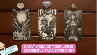 What Area Of Your Life is Currently Transforming  Timeless Reading [upl. by Peri515]