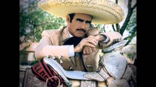 Vicente Fernandez La Migra [upl. by Illom]