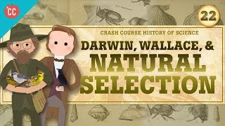 Darwin and Natural Selection Crash Course History of Science 22 [upl. by Enal]