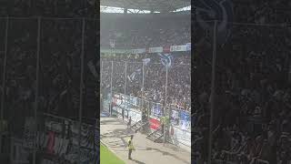 Kohorte Ultras beim Niederrheinpokal MSV Duisburg Hamborn 07 07092024 [upl. by Ahsieyt433]