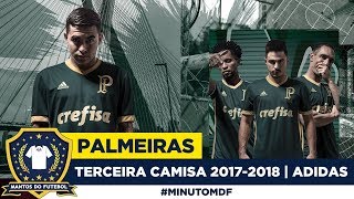 🐷 Terceira camisa do Palmeiras 20172018 Adidas  Arrancada Heroica [upl. by Wachtel346]