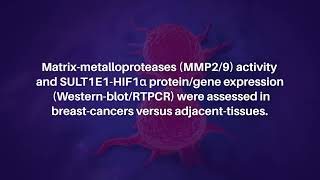 DialylSulfide and TransChalcone Prevent Breast Cancer by Targeting SULT1E1 and HIF1aMMPs [upl. by Eenahpets439]