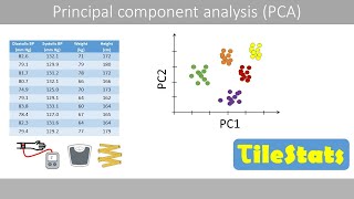 PCA  standardization and how to extract components [upl. by Aphrodite]