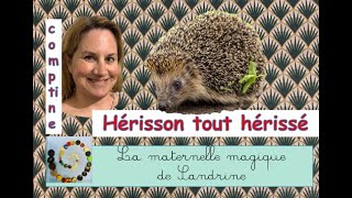 ⭐️Hérisson tout hérissé  comptine enfantine mimée [upl. by Mohandis]