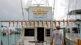 Huge Yellowtail Snapper  January Fishing Report [upl. by Immanuel]