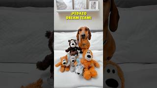 ¡SORPRESA en el pelotón 🐻💖 perrosalchicha teckel dachshund perros humor viral dog [upl. by Colette]