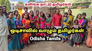 ஒடிசா தமிழர்களின் நிலை ଓଡିଶା ତାମିଲ୍ସର ଜୀବନ Odisha Tamils lifestyle ओडिशा तमिल क्षेत्र [upl. by Inilahs]