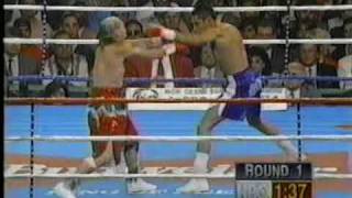 Oscar De la Hoya vs Jorge Paez [upl. by Vish]