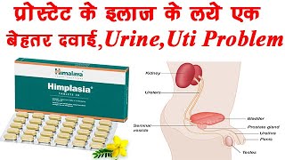 Himalaya Himplasia Tablets for Prostate Gland Beningn prostatic enlargementchronic 🔥🔥 [upl. by Ferretti]