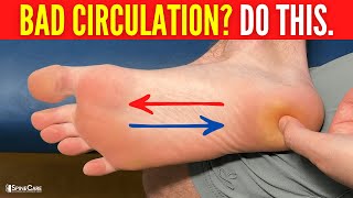 How to INSTANTLY Improve Circulation in Your Feet and Toes [upl. by Hall443]