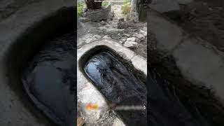 ये लड़का पानी के pool में कूद गया  jump water  shortsvideo [upl. by Aihsakal]