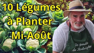 Les 10 Meilleurs Légumes à Planter à la MiAoût pour une Récolte Abondante [upl. by Ysle]