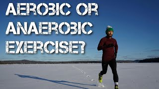 Aerobic or Anaerobic Exercise [upl. by Enilekaj]