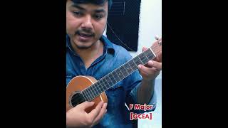 আমি এক গরীব প্রেমিক নীলা  Ukulele Tutorial [upl. by Ximena]