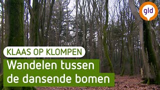 Het Speuldepad Rondom Ermelo Staverden en Speuld  Klaas op Klompen [upl. by Poirer]