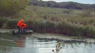 Chasse sanglier en Camargue [upl. by Pember]