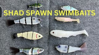 Swimbait fishing the Shad spawn location baits and more [upl. by Ateuqirne866]