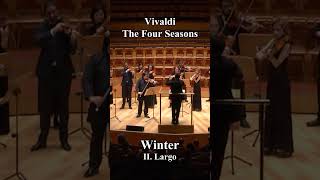 Vivaldi  The Four Seasons Winter  classicalmusic orchestra [upl. by Demona]