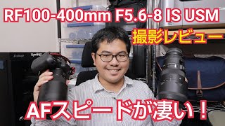 RF100400mm F568 IS USM 撮影レビュー！SIGMA 70200mm F28 DG OS HSM Sports とAF対決 [upl. by Leeanne]