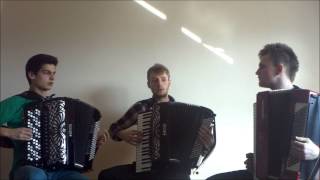 Crazy Accordion Trio  Hes a Pirate [upl. by Rollin]