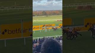 Tingle Creek 2021 [upl. by Nollid]