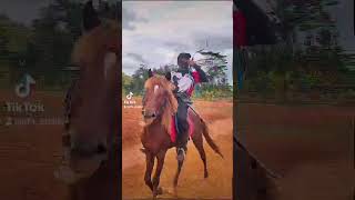 Horseback archery recap🐎🏹 horse horseriding horsebackarchery berkuda berkudaitusunnah [upl. by Strepphon834]