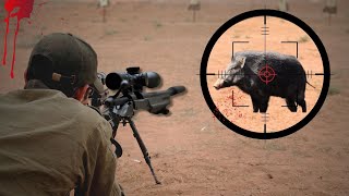 TOP 100 KILLING BLOWS Best Wild Boar Hunts Compilation [upl. by Emmott373]