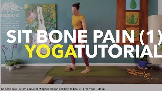 Sit bone pain  A torn adductor Magnus tendon and how to heal it  Free Tutorial [upl. by Tebazile]