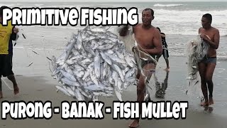 Purong  Banak  Fish Mullet Catching  Primitive Fishing [upl. by Caleb]