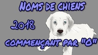 🐕🐶 Idées noms de chiens 2018 commençant par quotOquot 🐕🐶 [upl. by Ongineb]