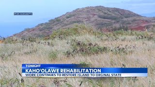 Volunteers continue work of restoring Kahoolawe after decades of bombardment [upl. by Ymmik455]