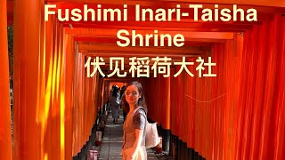 Fushimi InariTaisha Shrine [upl. by Ayhay]