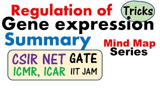 TRANSCRIPTIONAL FACTORS Gene regulation and the role of oestrogen explained [upl. by Lowrance39]