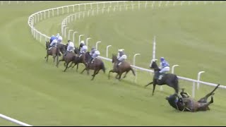 Horse Racing Death 233  Galitello at Ripon Racecourse [upl. by Kesley393]