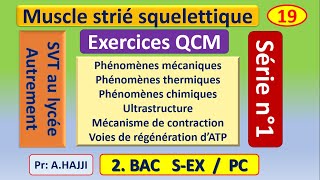 Exercices SVT Bac  QCM résolus sur le muscle strié squelettique [upl. by Eicnahc468]