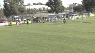 VPL Live R03 Dandenong V Knights [upl. by Vokay]