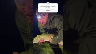 PIKE WHILE CARP FISHING at LINEAR FISHERIES carpfishing2024 carpfishing fishingvlog [upl. by Germaine]