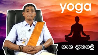 yoga sinhala l යෝගා මුලසිට ඉගෙන ගනිමු l Ruwan weeraratna [upl. by Micheline]