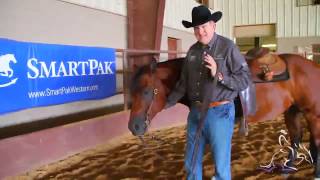 Tack Advice  Using A Curb Chain  Tom McCutcheon [upl. by Nawd]