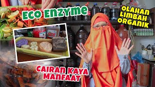 Mengenal Eco Enzyme Cairan Kaya Manfaat  Cara Membuat Eco Enzyme  Kelola Sampah Dapur ecoenzyme [upl. by Les]