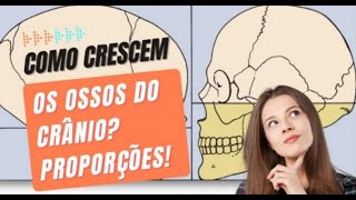 Crescimento x Desenvolvimento Craniofacial e sua relação com a ortodontia  Aula 3 [upl. by Ehsom486]